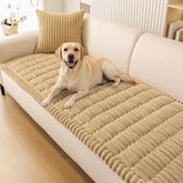 Smiry front view on sofa showing full coverage and neat appearance