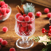 Solsew front packaging of 100 frosted artificial cranberries, adds festive color
