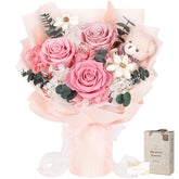SOLUNOX front box presentation showing elegant gift-ready packaging and instant unboxing delight