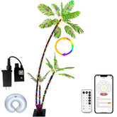 SOSHOT front view of lit palm tree creating warm ambiance