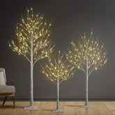 SPIRIT STAR CHRISTMAS CENTER front view of three lit birch trees adding warm ambiance