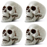 Sratte front view of four skulls showing ready-to-use party props