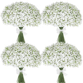 Suaycy front packaging showing 30 white gypsophila stems and full contents benefit