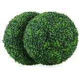 Sunnyglade front view boxwood ball showing full round shape and instant curb appeal