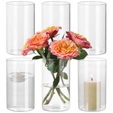 SUPMIND front view of clear glass cylinder vase showing clean minimalist look and versatility