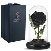 SW black rose under glass dome front view showing elegant preserved bloom and lasting beauty