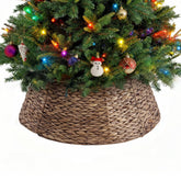 Sweetcrispy front view of collar showing tidy tree base and upgraded look
