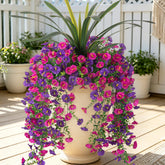 TakeArt front view of three morning glory bundles shows vibrant curb appeal
