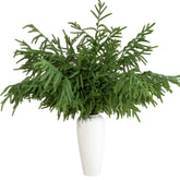 Tasruwat front packaging showing full-length 36-inch stems for instant tall arrangements