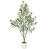 Timoo front view showing full 5 ft faux olive tree and white planter, enhancing room style