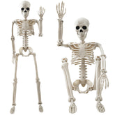 tkgpe skeleton front view showing lifelike bone texture and curb appeal