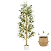 TNELTUEB olive tree front view showing full height and instant room impact