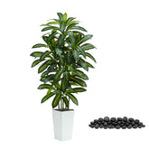 TNGGNT front view of 5ft dracaena in white pot showing lifelike silhouette and instant focal point