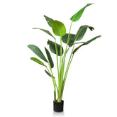 TRESIL front view showing full 55-inch Bird of Paradise for bold decor