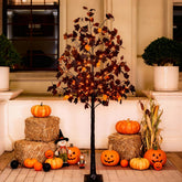 TYBEEU black maple tree front view showing full decorated look and curb appeal