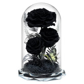 Tyvouflo glass dome front display showing three black preserved roses and aesthetic appeal