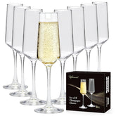 Ufrount front view of eight flutes showing elegant presentation and clarity