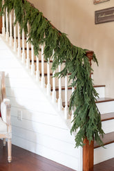 Vita Domi front view of 6 ft Norfolk pine garland showing full shape and color benefit