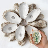 VMEECARL front packaging showing 30 oyster shells, useful for crafting