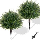 Waipfaru front view of 23-inch cedar topiary enhancing curb appeal