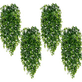 Waipfaru front view showing full hanging vines and instant greenery benefit
