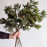 Wavwavw front view of six cedar stems showing full package benefit