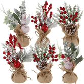 winemana front packaging showing six mini trees, ideal compact gift