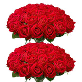 wondrus front packaging showing 50 red velvet roses and durable stems