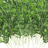 WONICE front view of 40-pack ruscus stems showing full set benefit