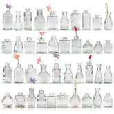 Yabool clear front view showing slim mouth and tidy silhouette for elegant displays