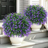Yangrass front view of two topiary balls showing finished look and curb appeal