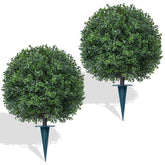 Yangrass front view of pair of topiary balls showing immediate curb appeal