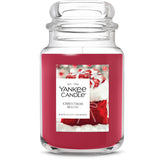 Yankee Candle front packaging showing jar and holiday scent benefits