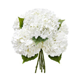 Yatim front view of five white hydrangea stems, ready to display and arrange