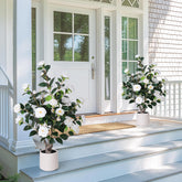 YEPDIN front view of two camellia trees showing balanced décor impact