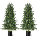 YXZZWL two cedar trees on front porch adding curb appeal