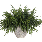 YXZZWL front packaging showing 16 Norfolk pine stems, ready for decor