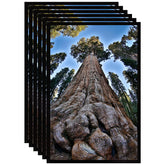 YYTRABAJO front view of 11x17 black frame set shows neat finished look and versatile styling