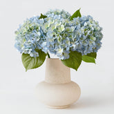 ZYTUYO front view of four light blue hydrangea heads showing full bouquet benefits