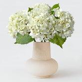 ZYTUYO front packaging showing four ivory hydrangea heads and stems, ready to style