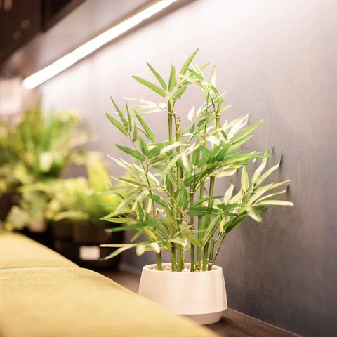 365 Blooming Decor beside sofa showing small-scale accent and visual warmth