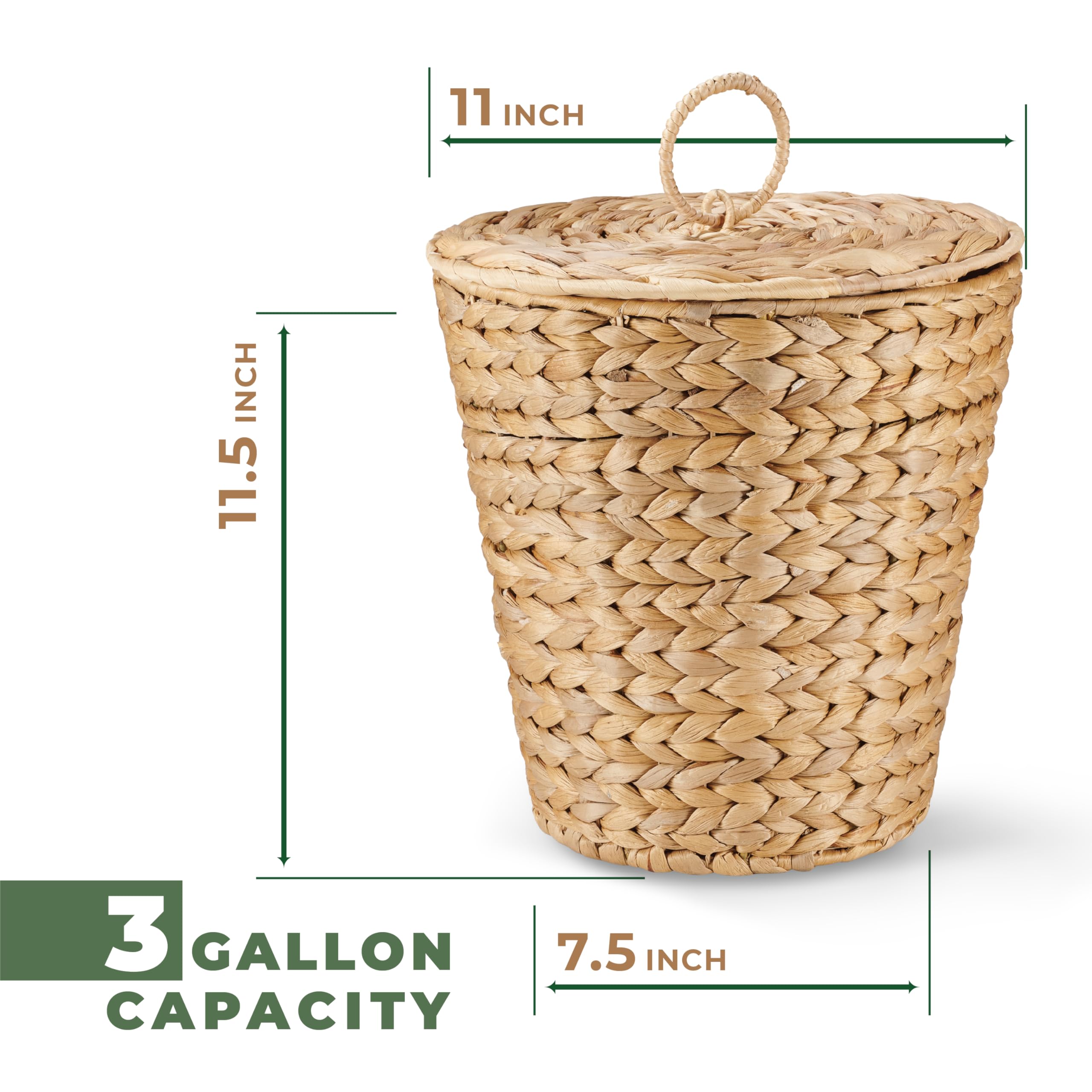 84ECO held in a hand for size comparison demonstrating compact three-gallon capacity