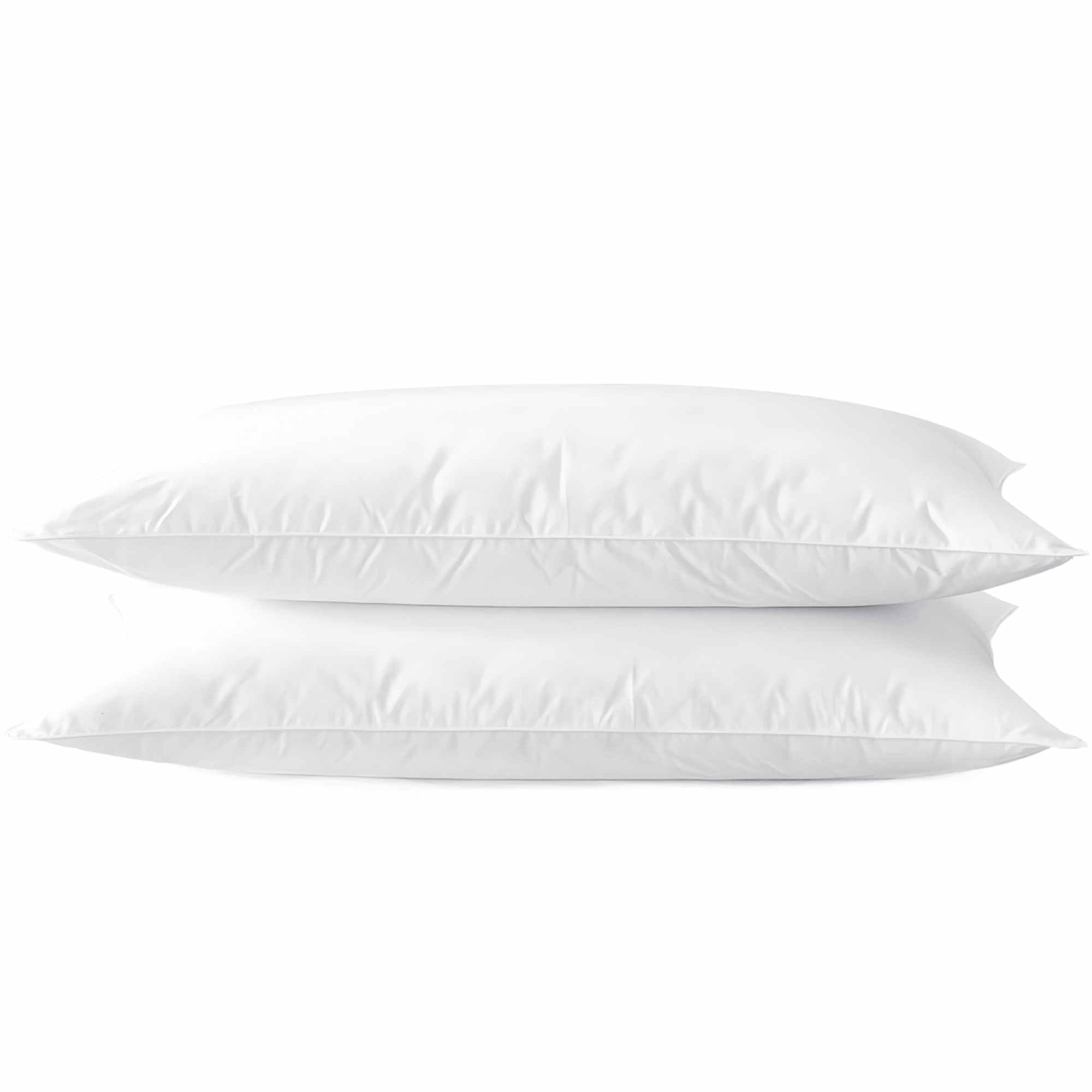 Acteb front packaging pair showing two standard pillows and clear branding for convenience