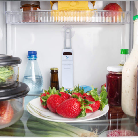 AcuRite refrigerator sensor attached to shelf showing accurate internal monitoring