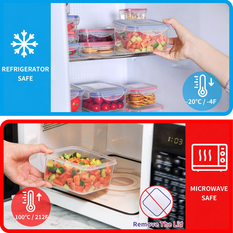 AdanZst large container with meal prep illustrating generous capacity