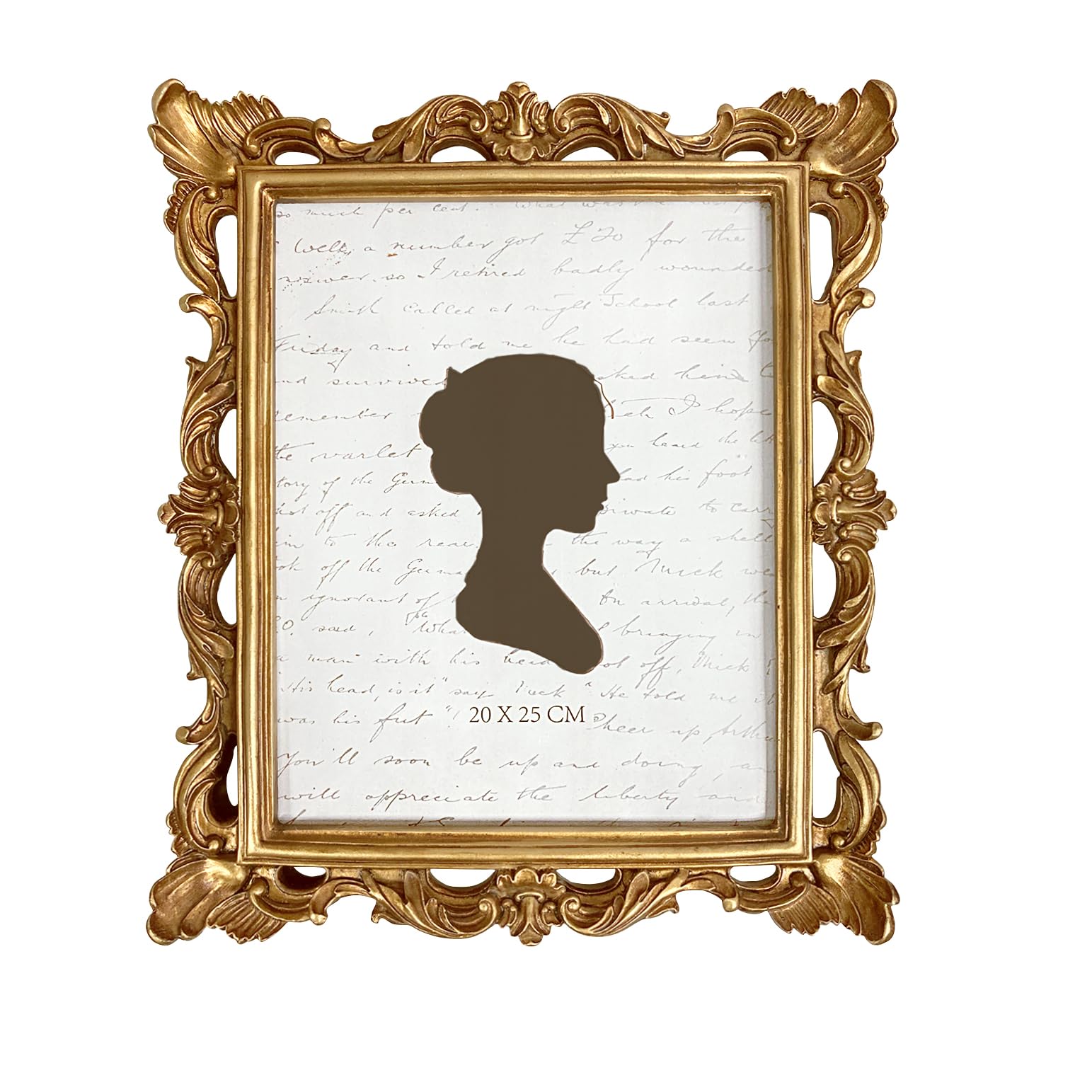 AELS front view showing golden-bronze frame enhancing photo details