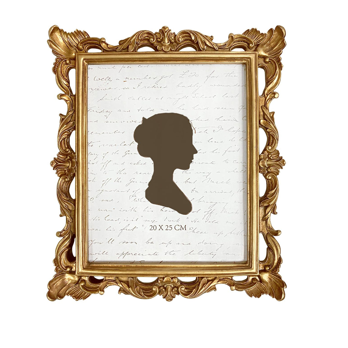 AELS front view showing golden-bronze frame enhancing photo details