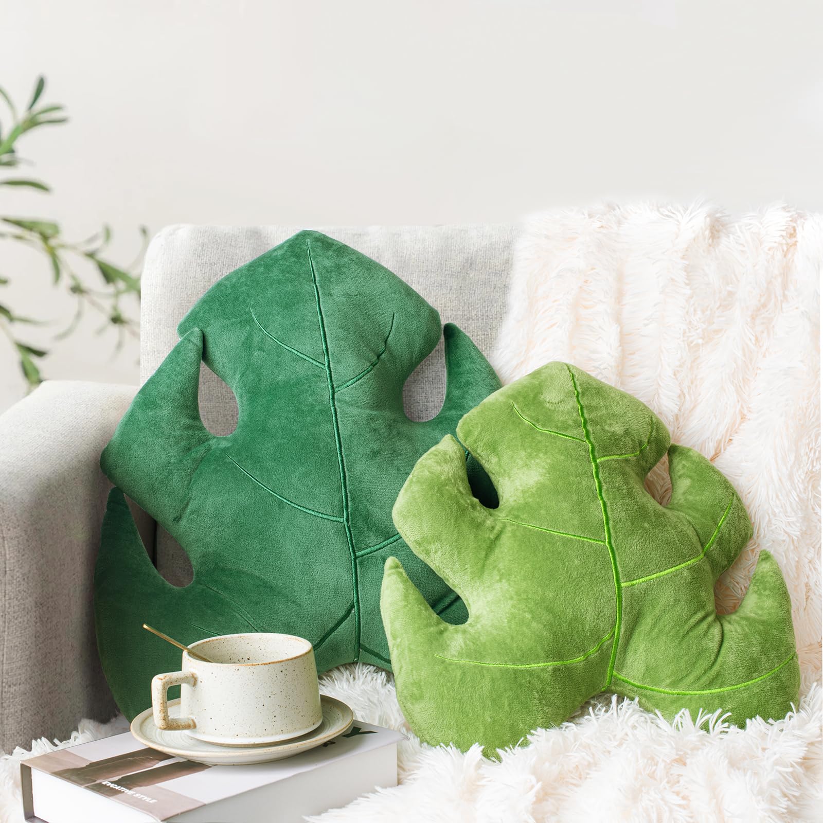 AELS Monstera front view showing leaf shape and decorative appeal