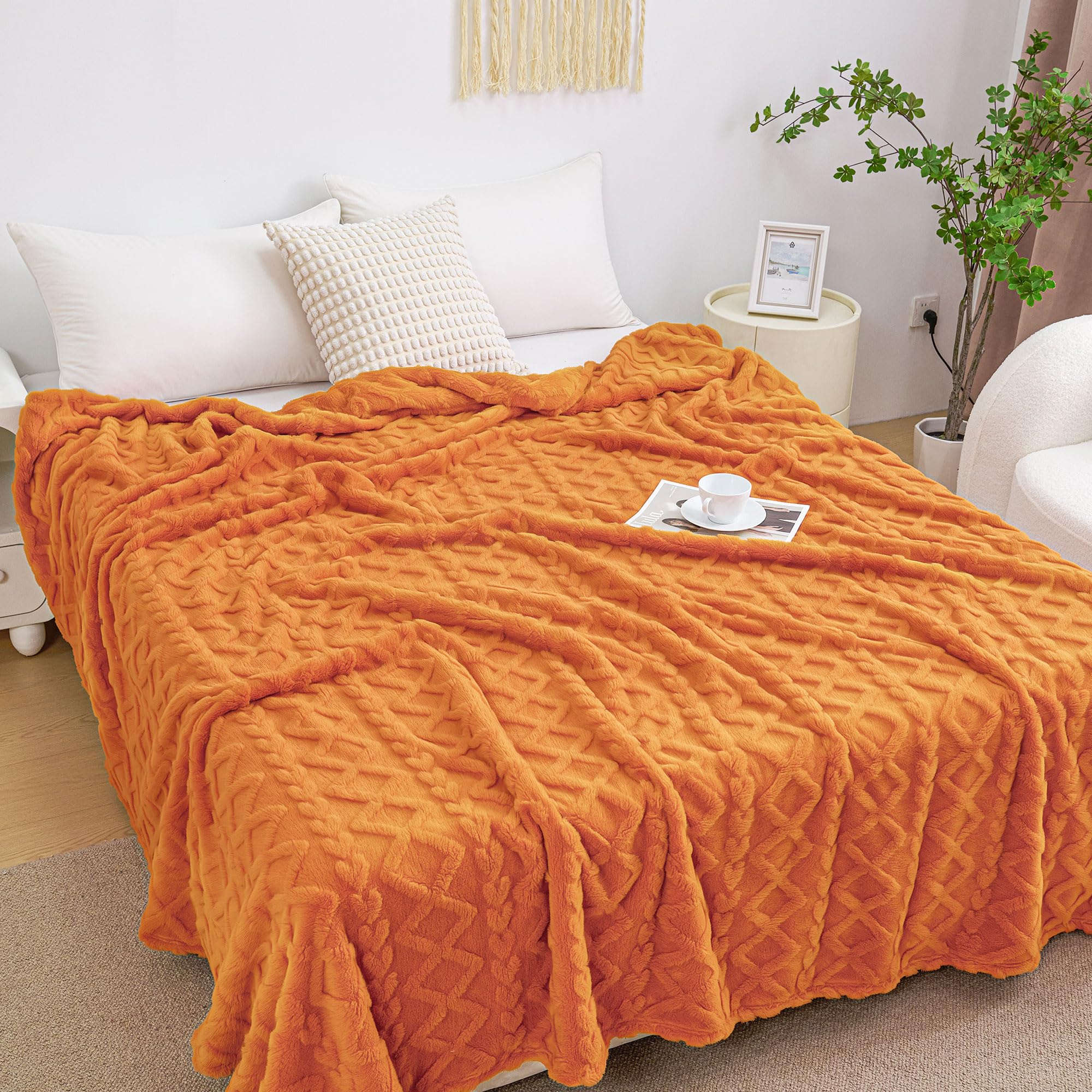 Aganear throw on picnic blanket demonstrating outdoor comfort and portability