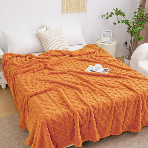 Aganear throw on picnic blanket demonstrating outdoor comfort and portability